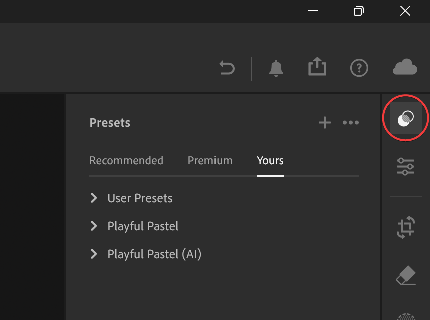 Screenshot of Adobe Photoshop Lightroom showing the location of the Presets panel icon.