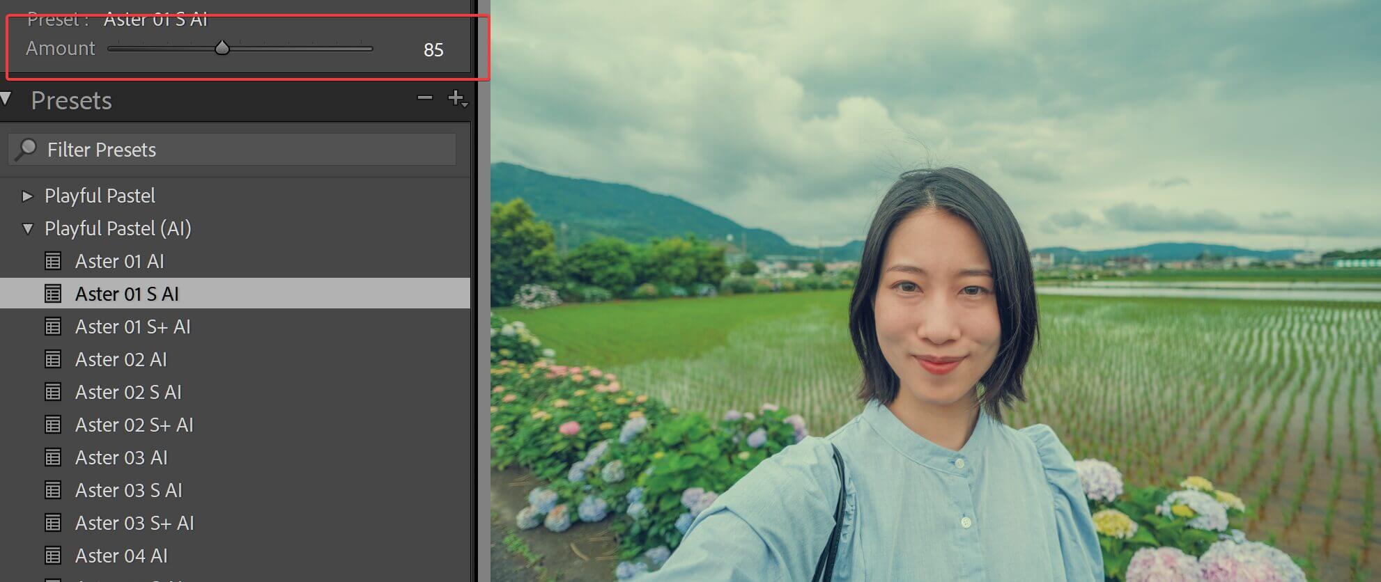 Screenshot of Adobe Photoshop Lightroom Classic showing the preset amount slider.