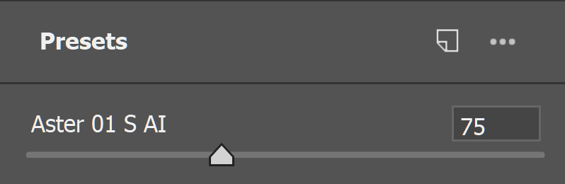 Screenshot of Adobe Camera Raw showing the preset amount slider.