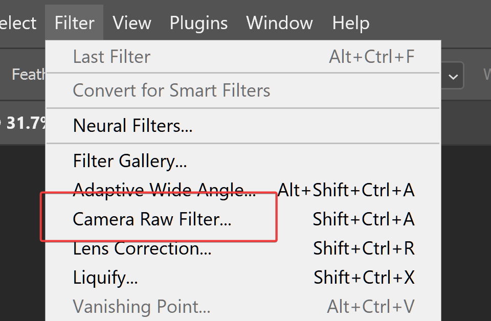 Screenshot of Adobe Photoshop, displaying options under the "Filter" menu with "Camera Raw Filter" highlighted.